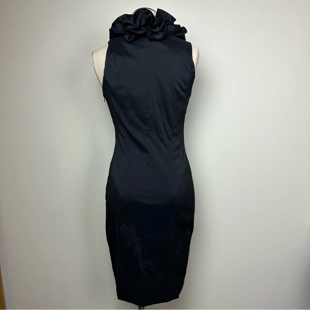 Xscape Ruffle Neck Dress - Picture 7 of 12